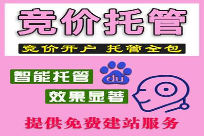 百度竞价推广公司实战案例：打造爆款产品的广告策略